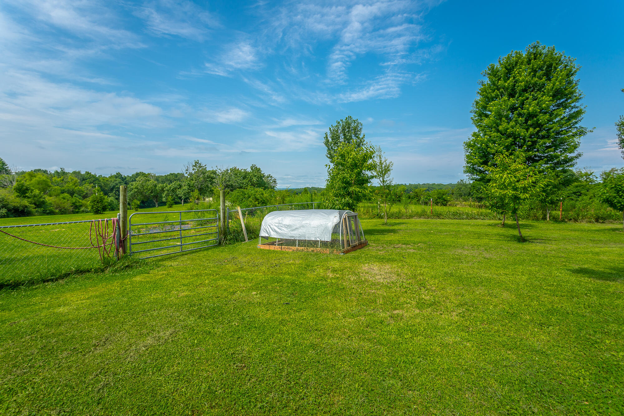 2195 Myers Road Pikeville, TN 37367 - Photo 90 of 121 2195 Meyers Road HD-98