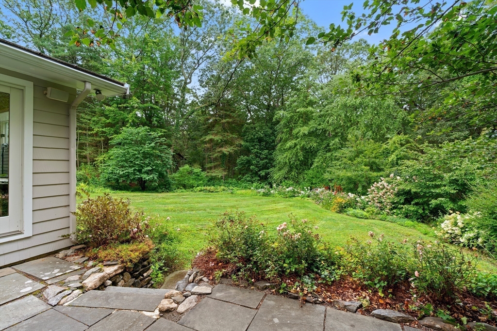 50 3 Ponds Road Wayland, MA 01778 - Photo 30 of 32 a view of a yard with plants and large trees