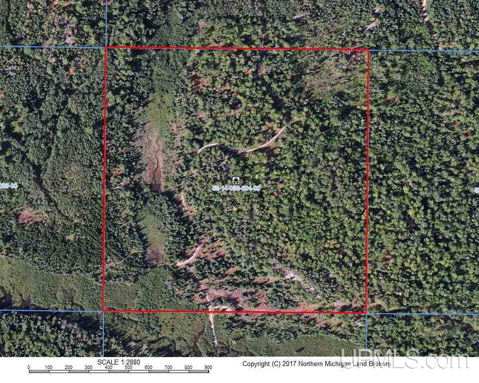 40-acres 40-acres Off Co Road Gwinn, MI 49841 - Photo 21 of 22