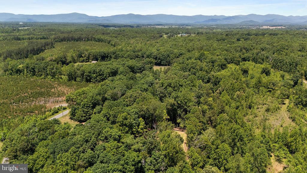 12121 Albano Road Barboursville, VA 22923 - Photo 67 of 67