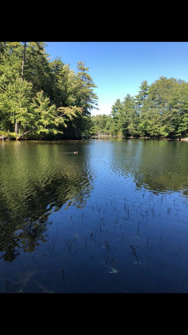 429 Songo School Road Naples, ME 04055 - Photo 31 of 43 Songo River