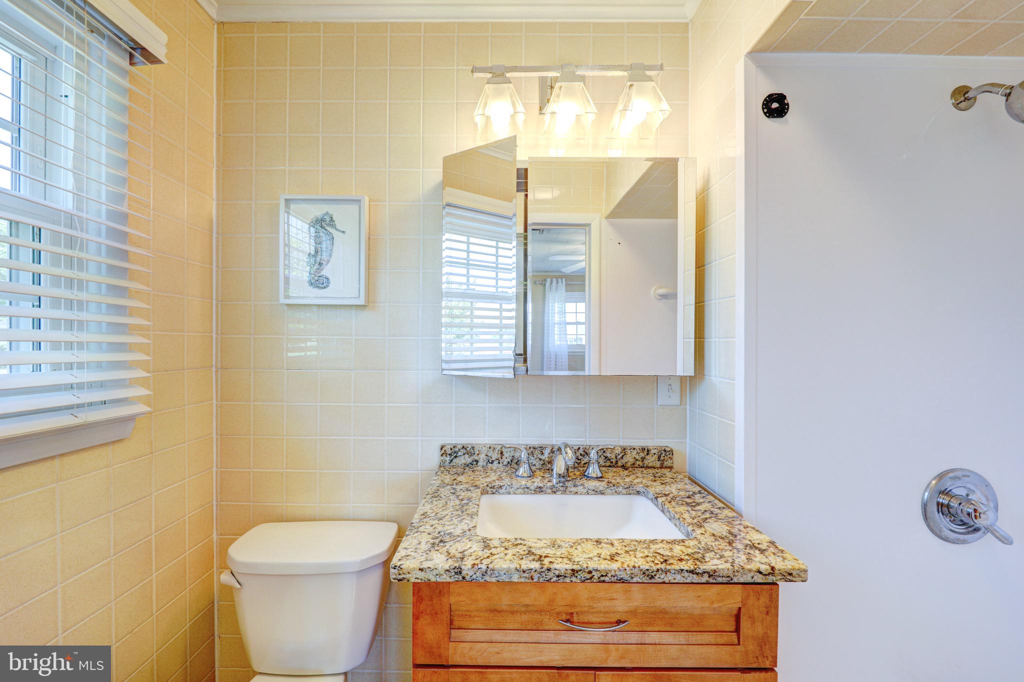 10042 Friendship Road Berlin, MD 21811 - Photo 25 of 53 Master Bath