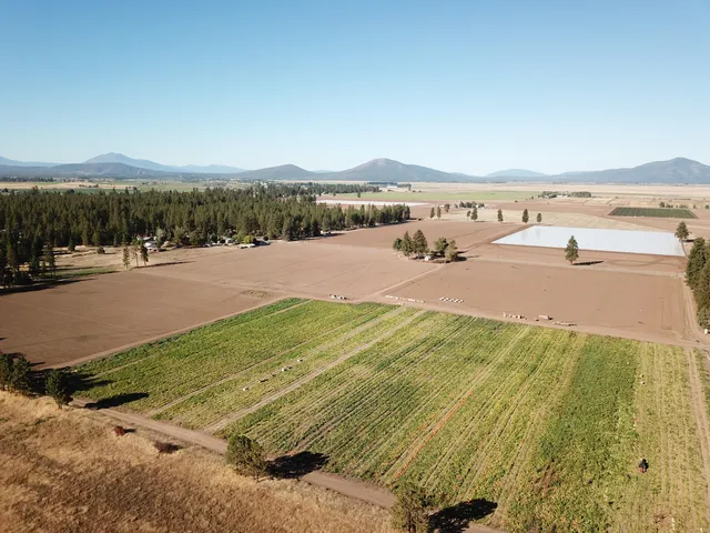 $375,000 | 27093 Lee Road, McArthur, CA 96056