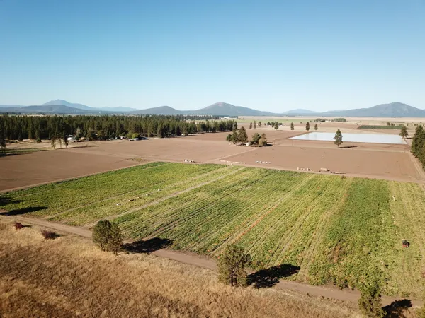 $325,000 | 27093 Lee Road, McArthur, CA 96056