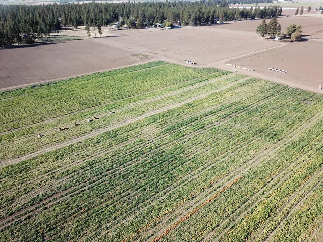 $375,000 | 27093 Lee Road, McArthur, CA 96056