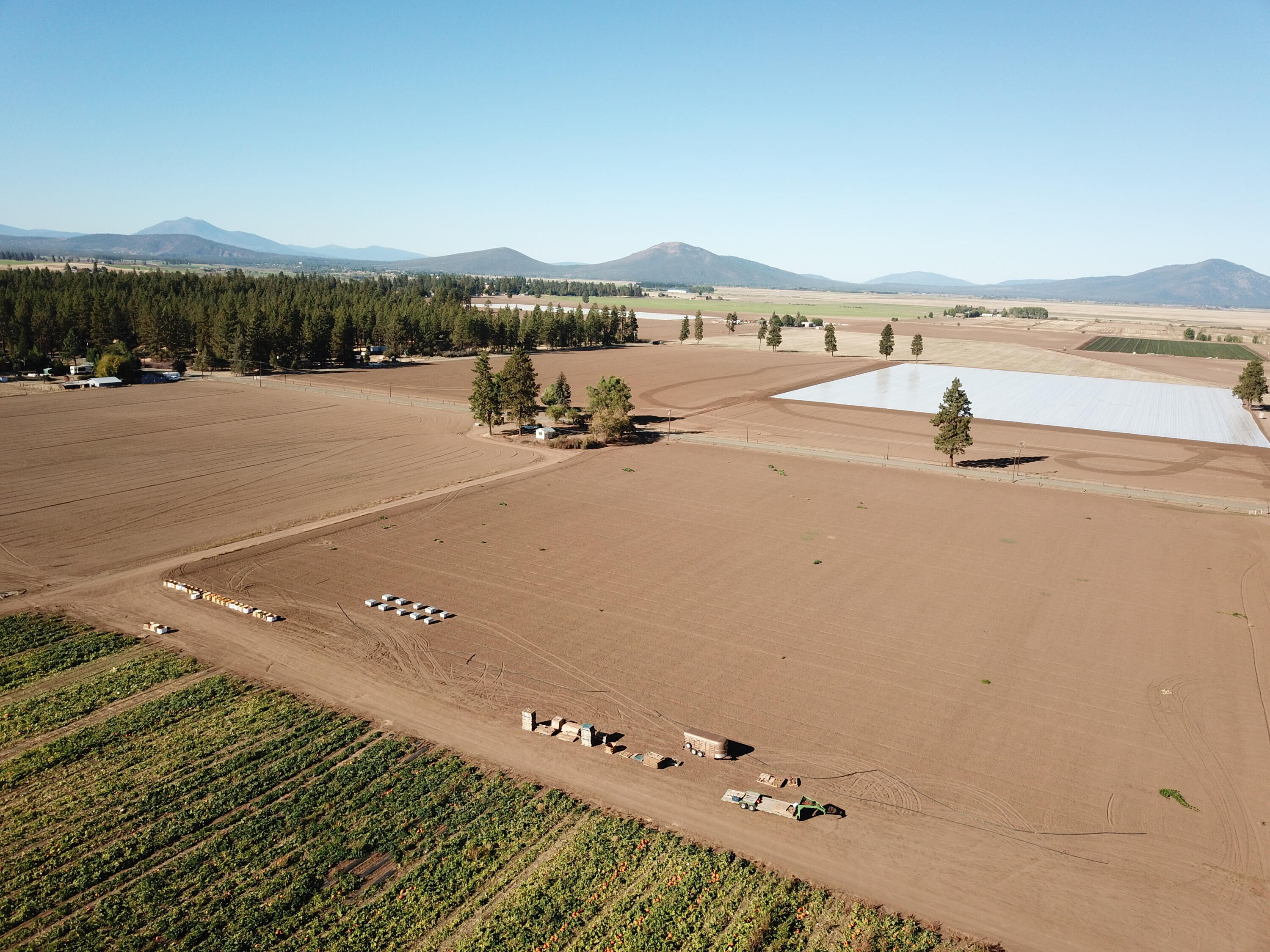 27093 Lee Road McArthur, CA 96056 - Photo 14 of 40 DJI_0043