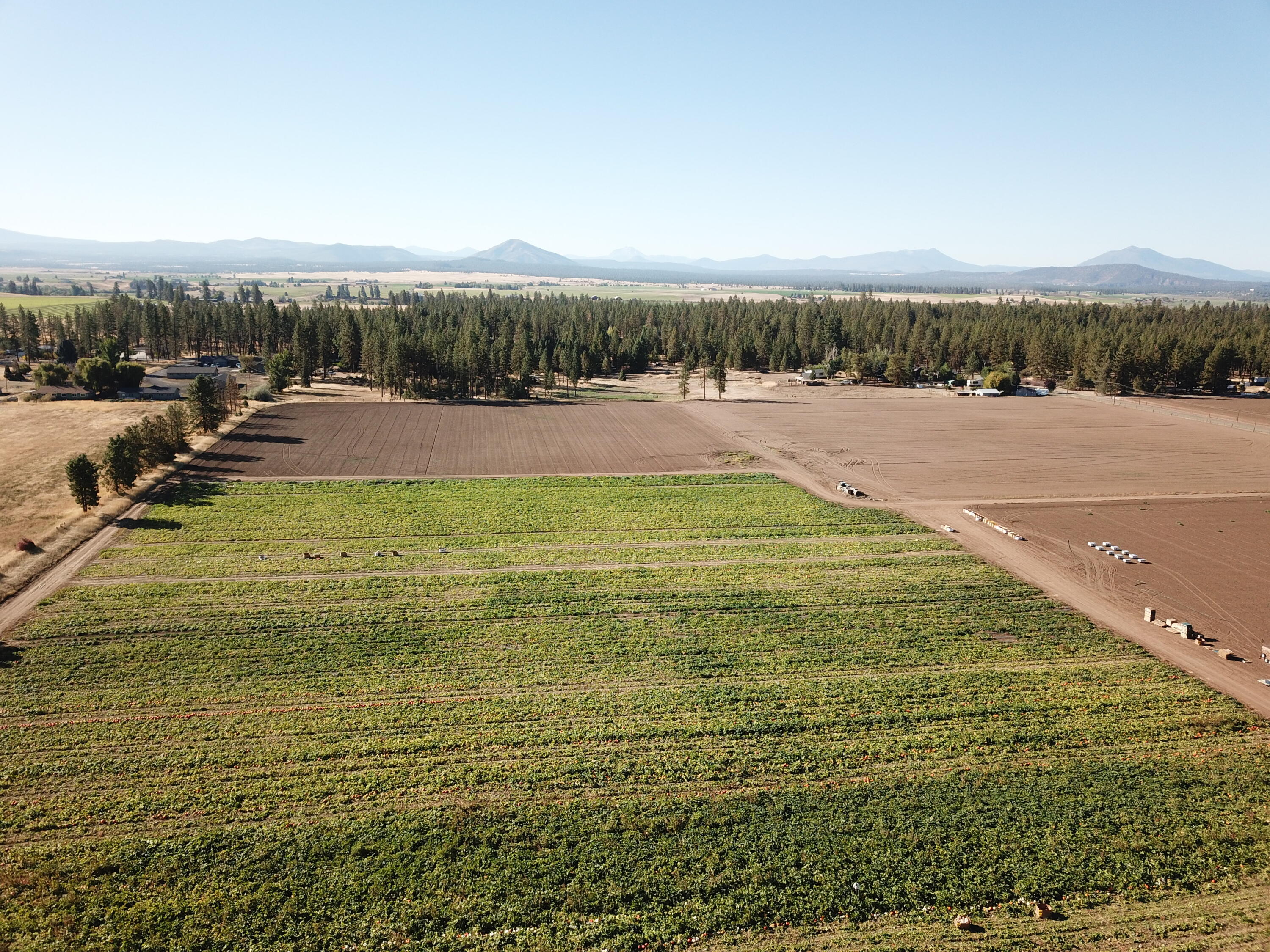 27093 Lee Road McArthur, CA 96056 - Photo 15 of 40 DJI_0049