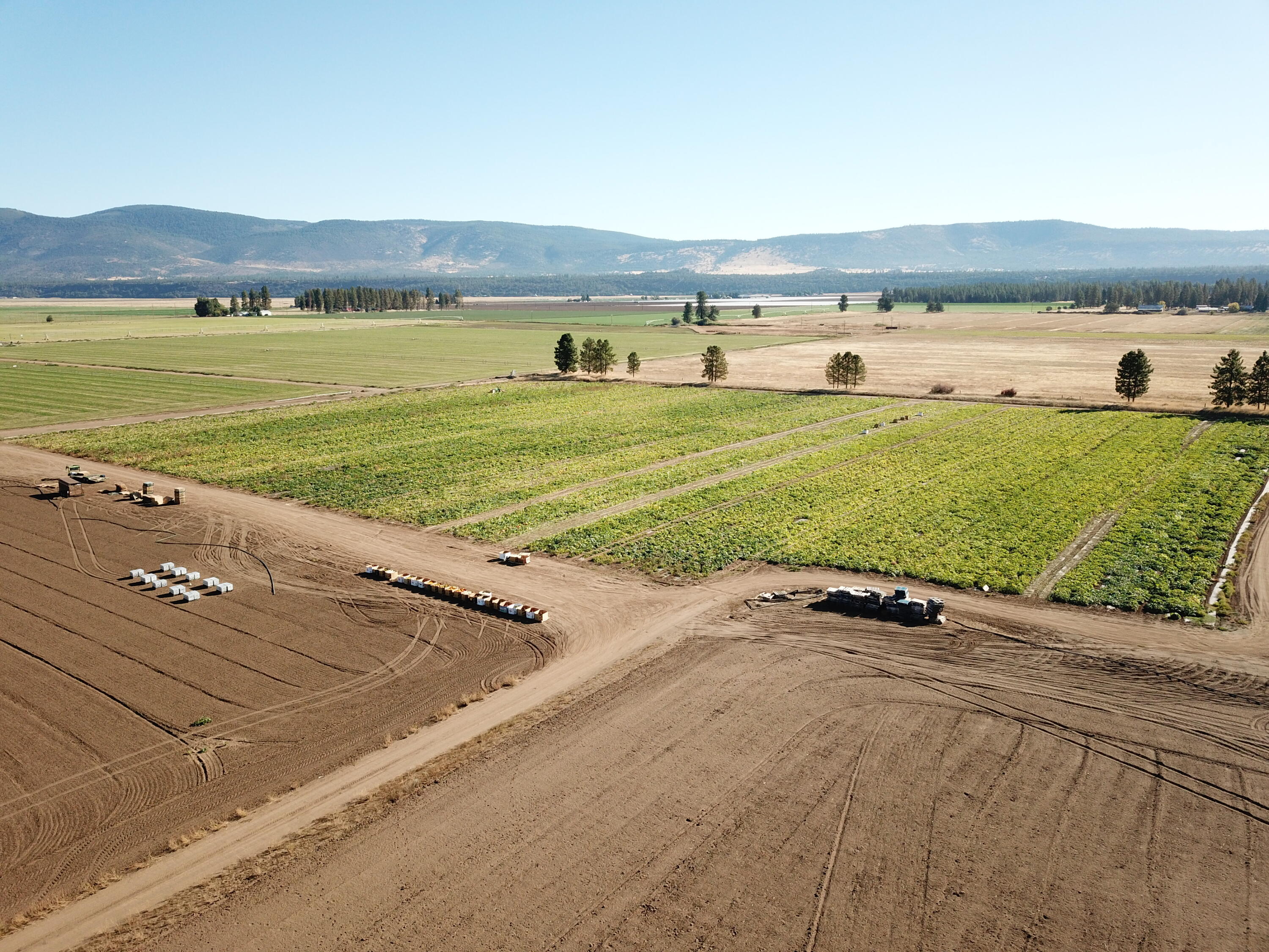 27093 Lee Road McArthur, CA 96056 - Photo 17 of 40 DJI_0058