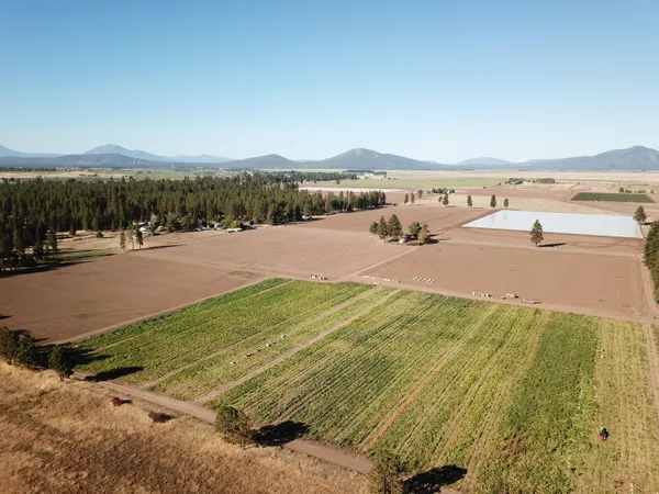 $325,000 | 27093 Lee Road, McArthur, CA 96056