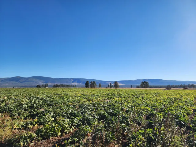 $375,000 | 27093 Lee Road, McArthur, CA 96056