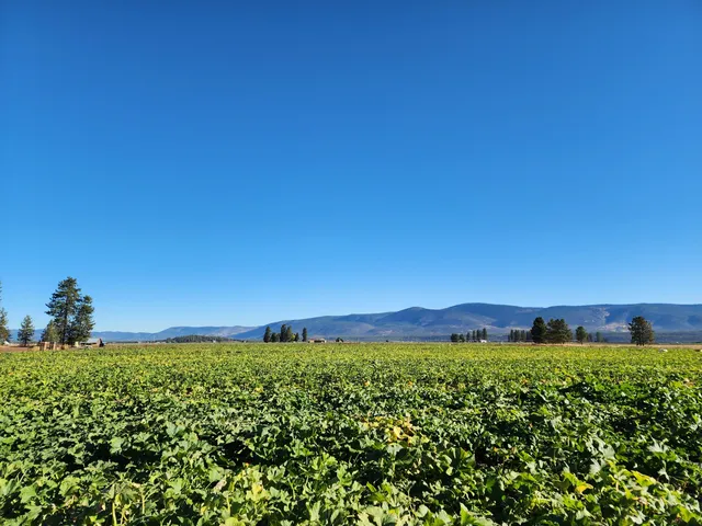 $375,000 | 27093 Lee Road, McArthur, CA 96056