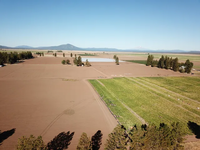 $375,000 | 27093 Lee Road, McArthur, CA 96056