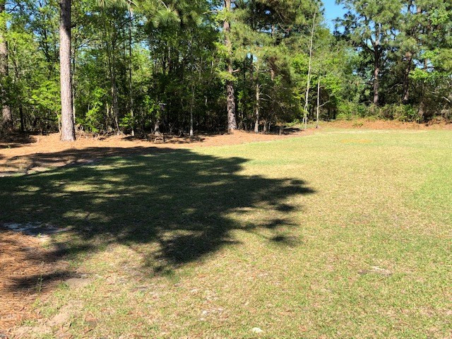 826 Johnson Road Aiken, SC 29803 - Photo 37 of 41