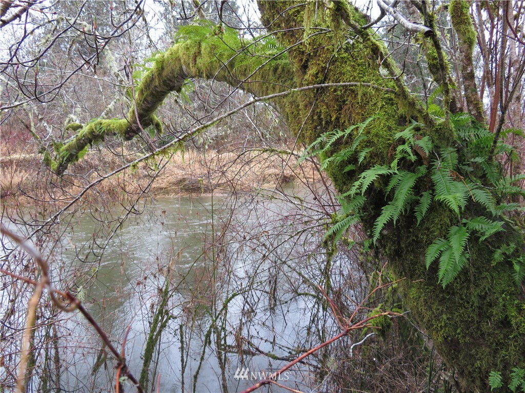 1834 North River Road Cosmopolis, WA 98537 - Photo 23 of 25 Gallery Image 23