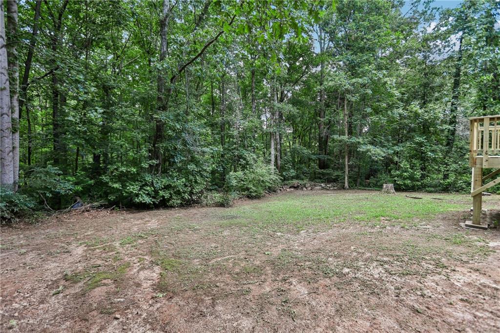 1019 Davis Mill Road South Dallas, GA 30157 - Photo 27 of 28
