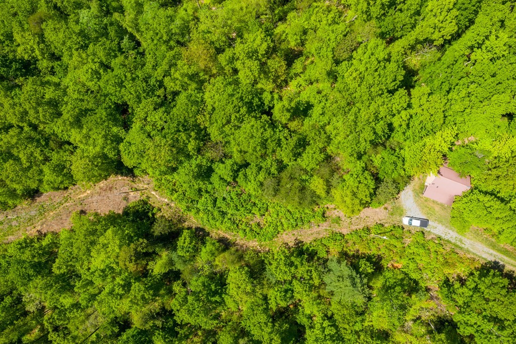 0 Henry Town Road Sevierville, TN 37876 - Photo 5 of 38 Gallery Image 5
