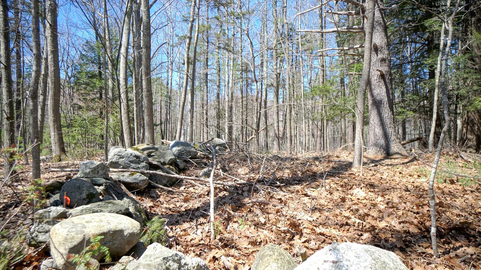 172 B Middle Road Cumberland Center, ME 04021 - Photo 6 of 9 81