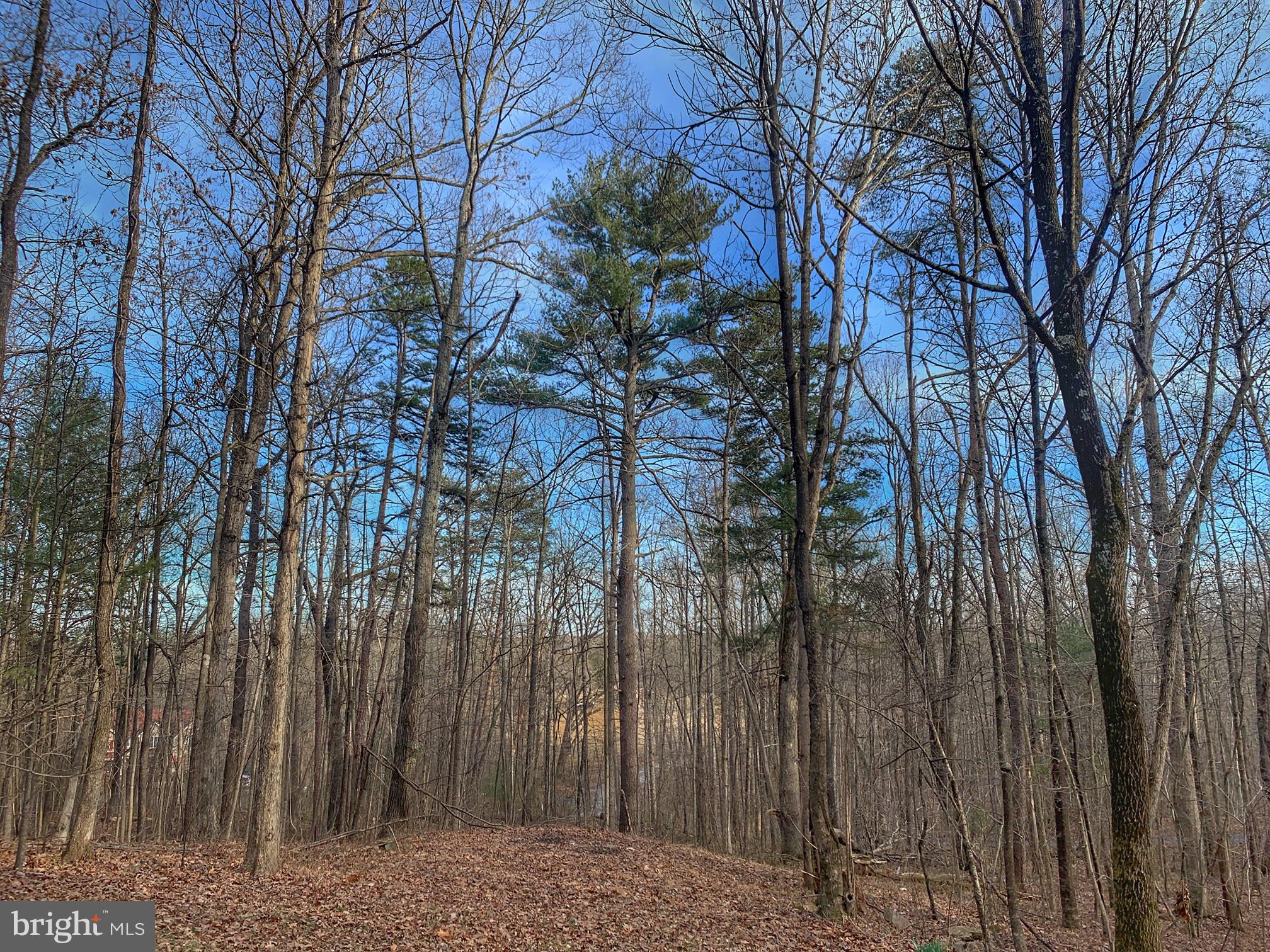 95 Castle Mountain Road Castleton, VA 22716 - Photo 2 of 12