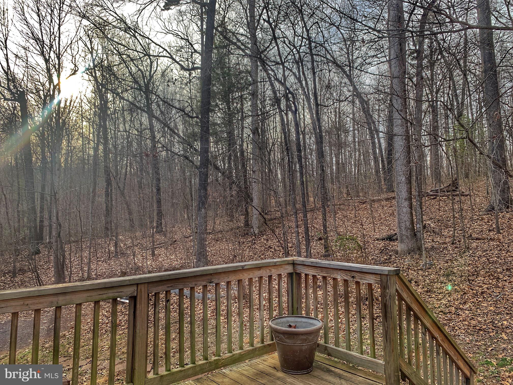 95 Castle Mountain Road Castleton, VA 22716 - Photo 3 of 12