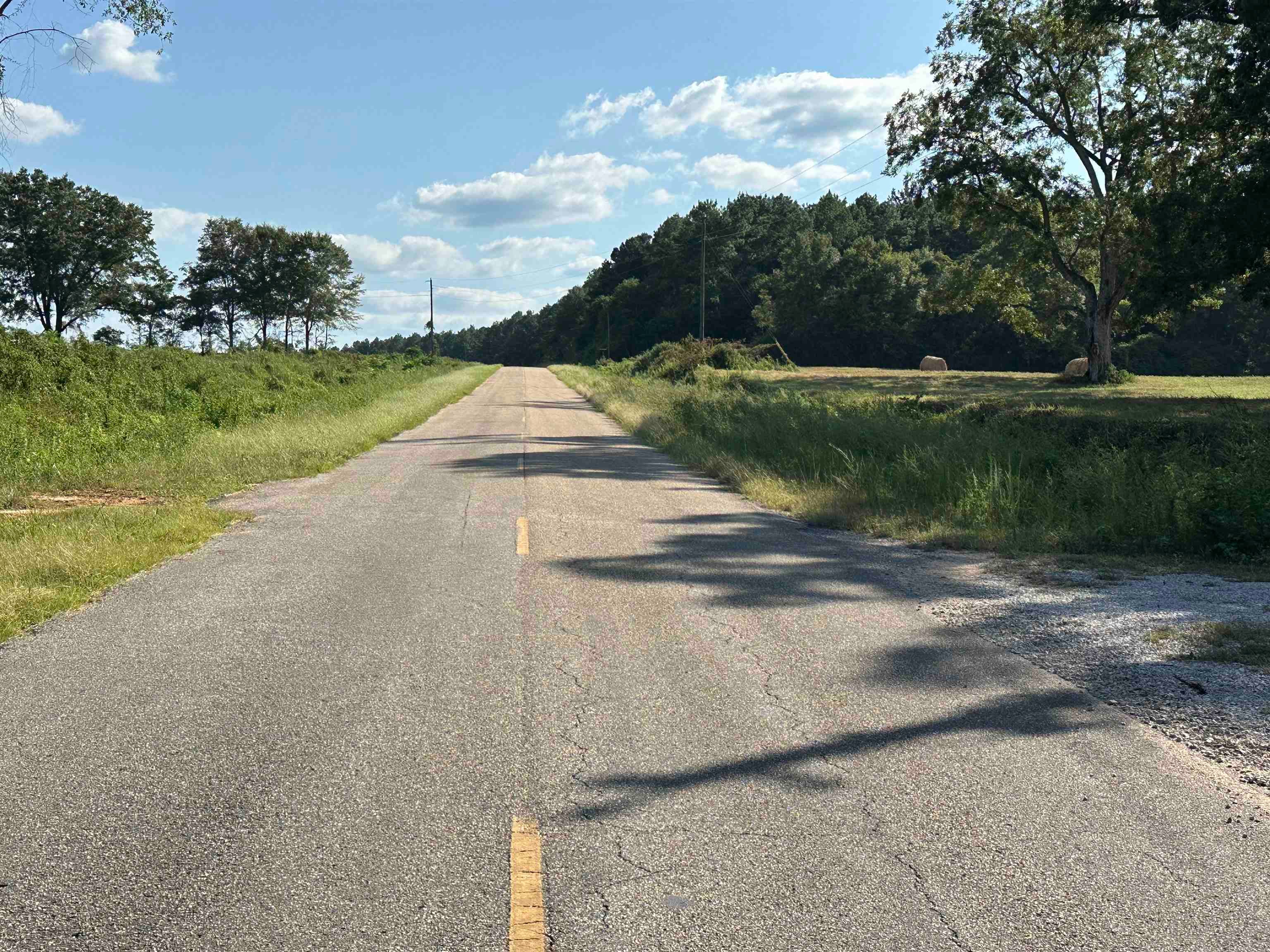 31993 Turkey Creek Road Red Level, AL 36474 - Photo 22 of 24 Gallery Image 22