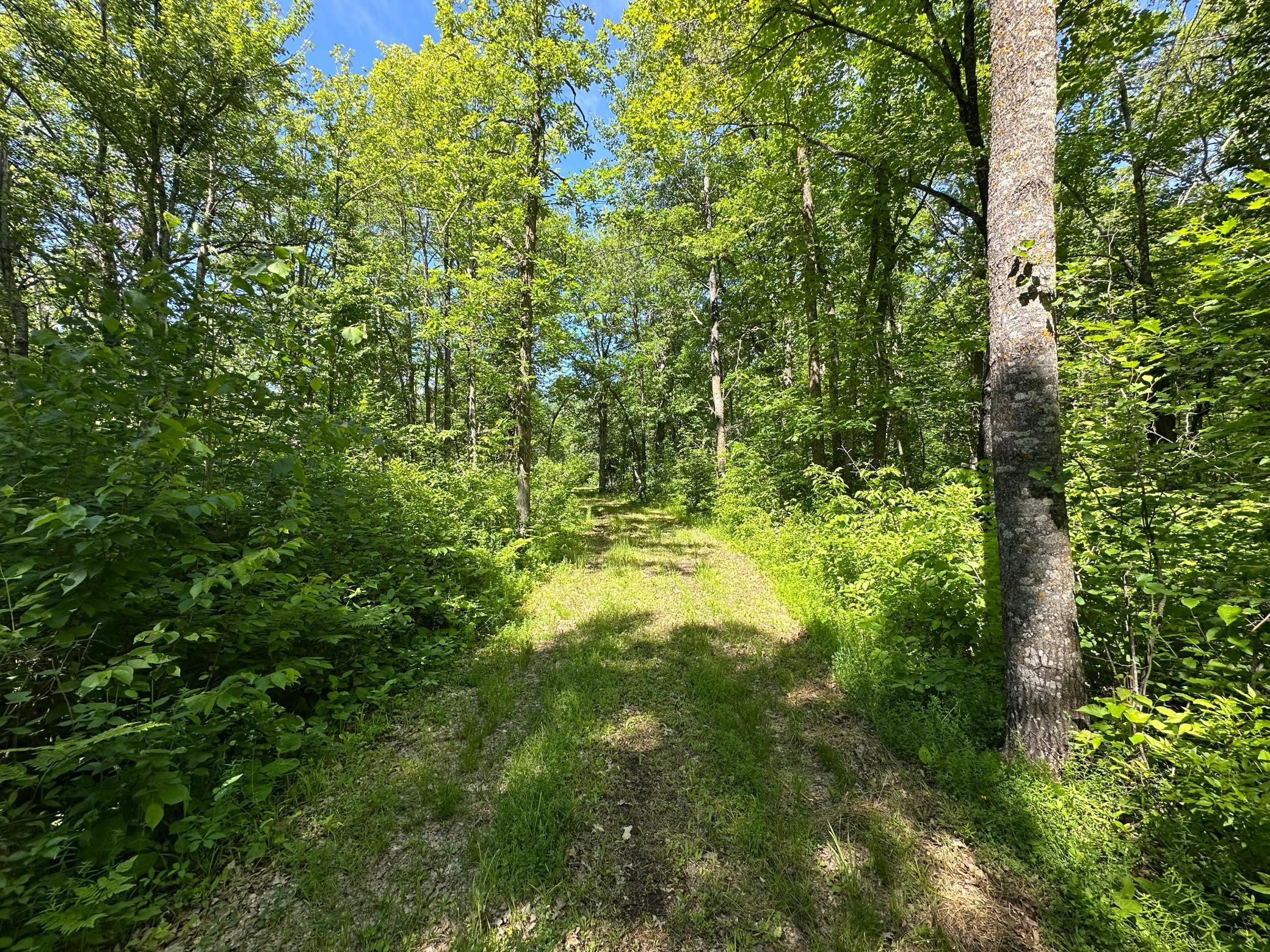 89225 Little Oak Lake Road Kerrick, MN 55756 - Photo 4 of 33