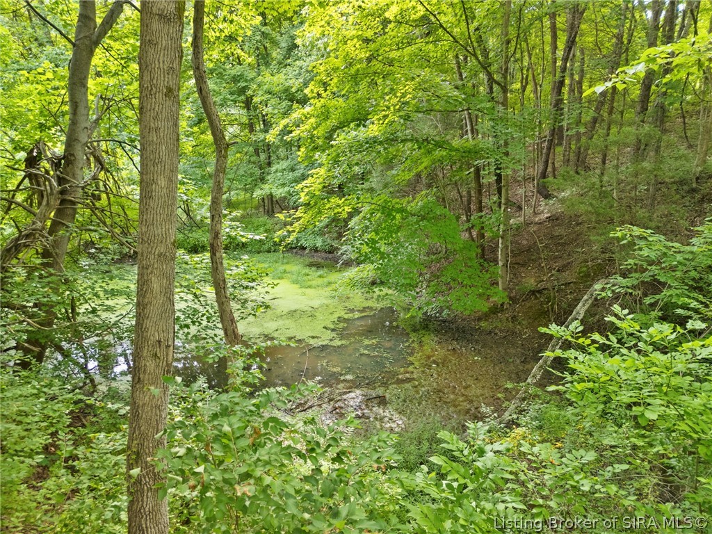 4166 Quarry Road New Albany, IN 47150 - Photo 27 of 53