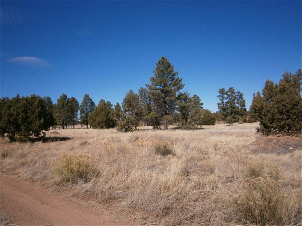 33 Chamberlain Way Show Low, AZ 85901 - Photo 2 of 5