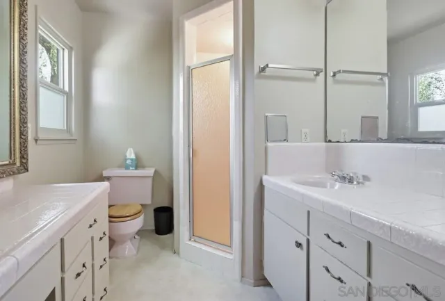 a view of a yard with plants and a tree