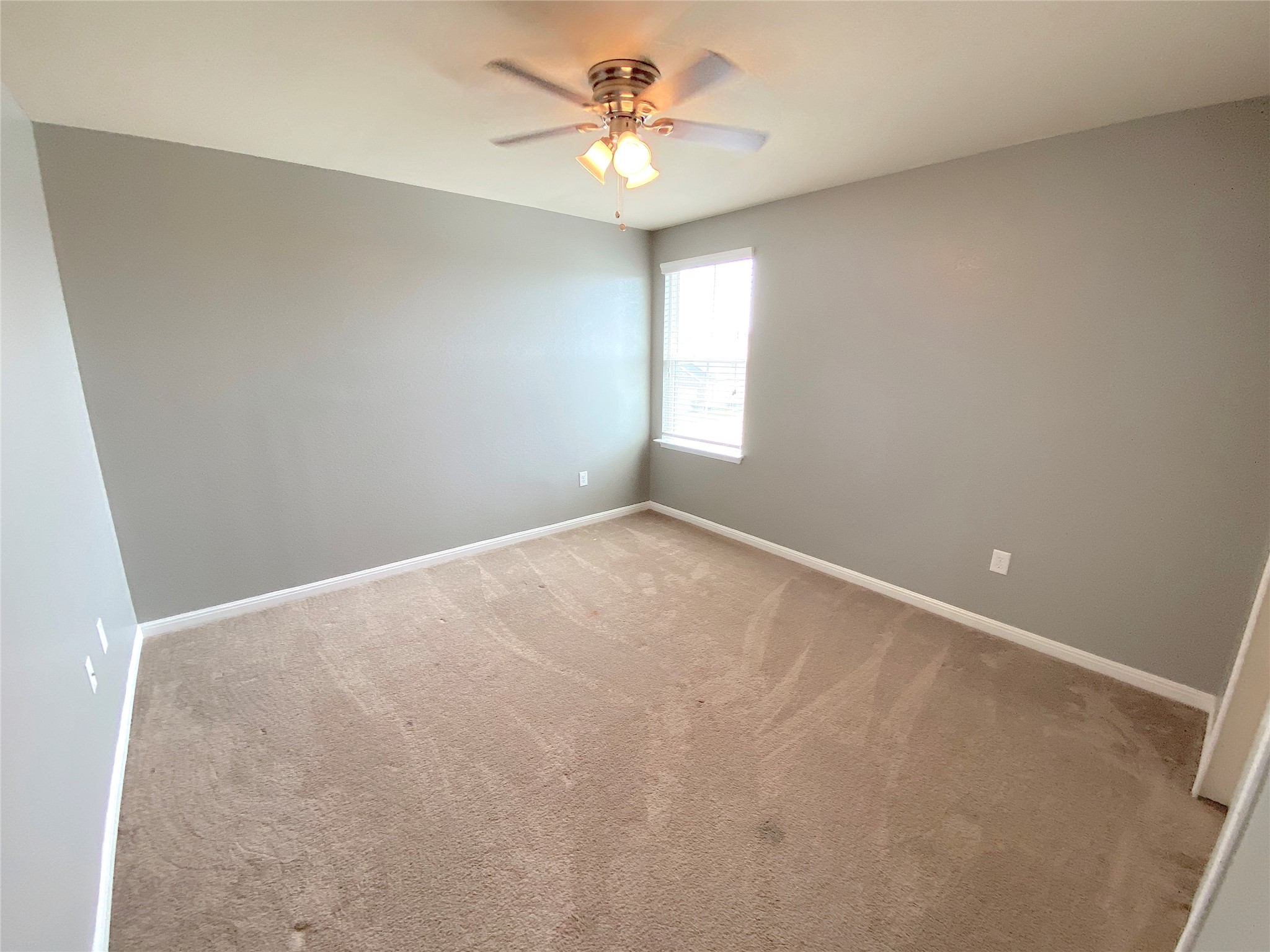 122 Liard River Road Hutto, TX 78634 - Photo 23 of 33