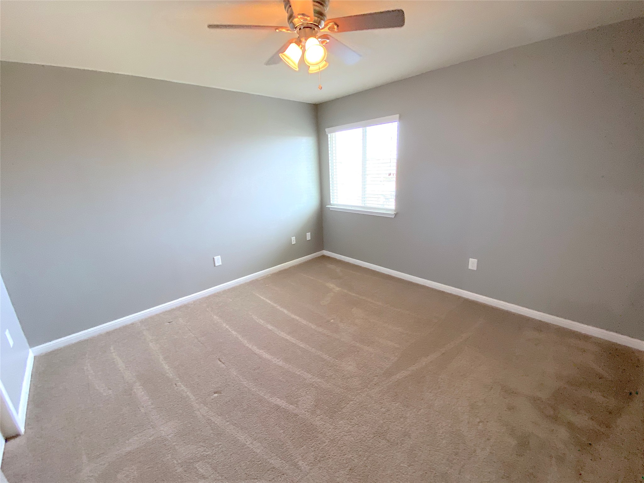 122 Liard River Road Hutto, TX 78634 - Photo 26 of 33