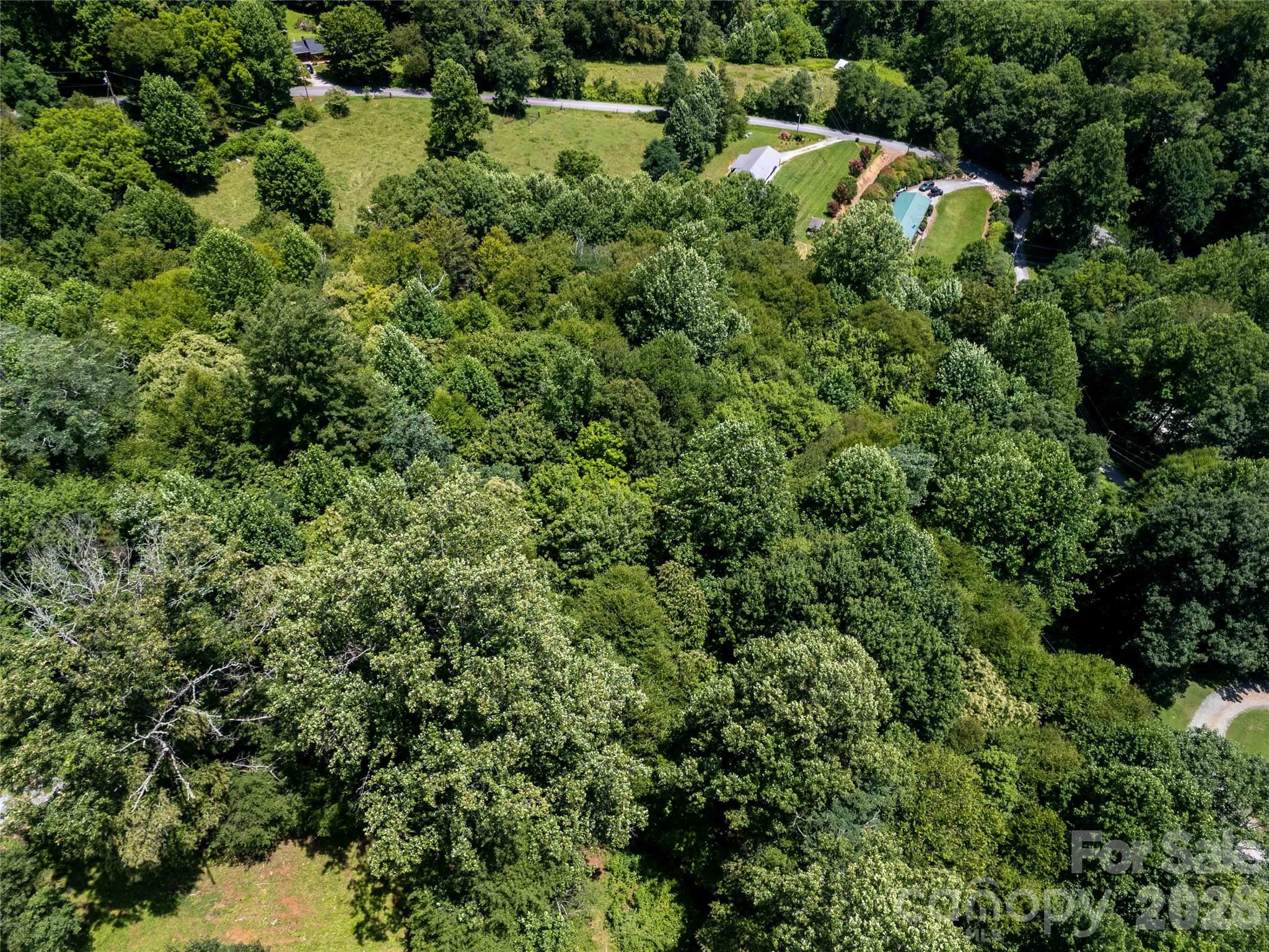 1249 Monteith Branch Road Sylva, NC 28779 - Photo 16 of 24 Gallery Image 16
