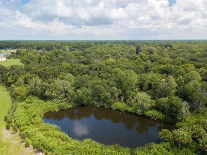 an aerial view of residential houses with outdoor space and trees all around