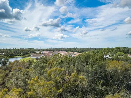 a view of a lake from a yard