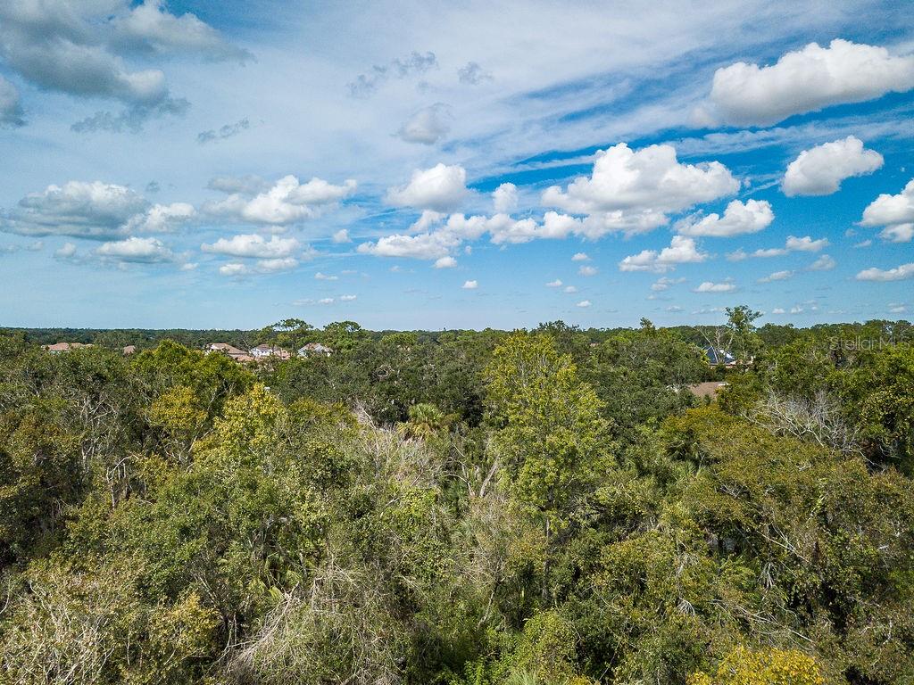 Quarter Horse Road Sarasota, FL 34241 - Photo 4 of 18 a view of a bunch of trees in a field