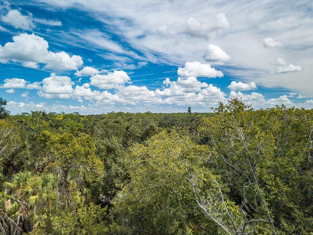 Quarter Horse Road Sarasota, FL 34241 - Photo 5 of 18 a view of a bunch of flowers in middle