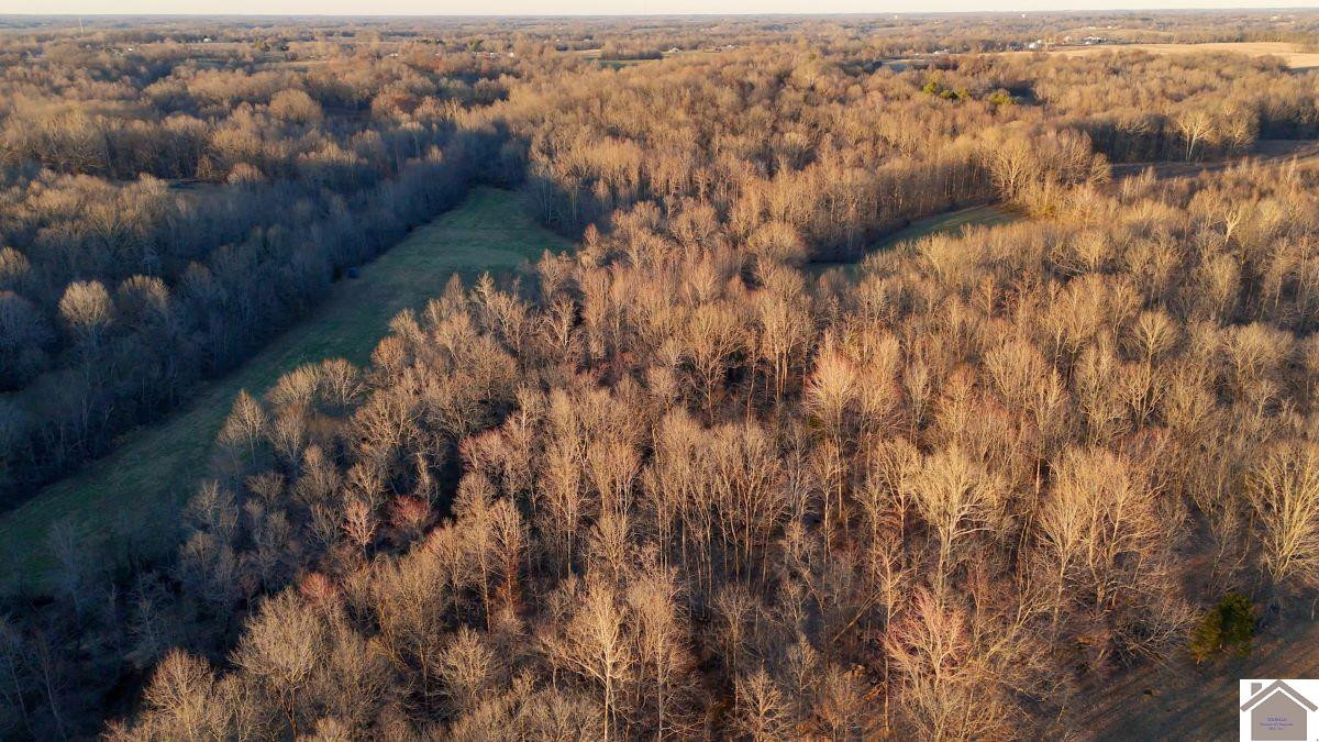 0 Wray Road Wingo, KY 42088 - Photo 31 of 39 Photo 31