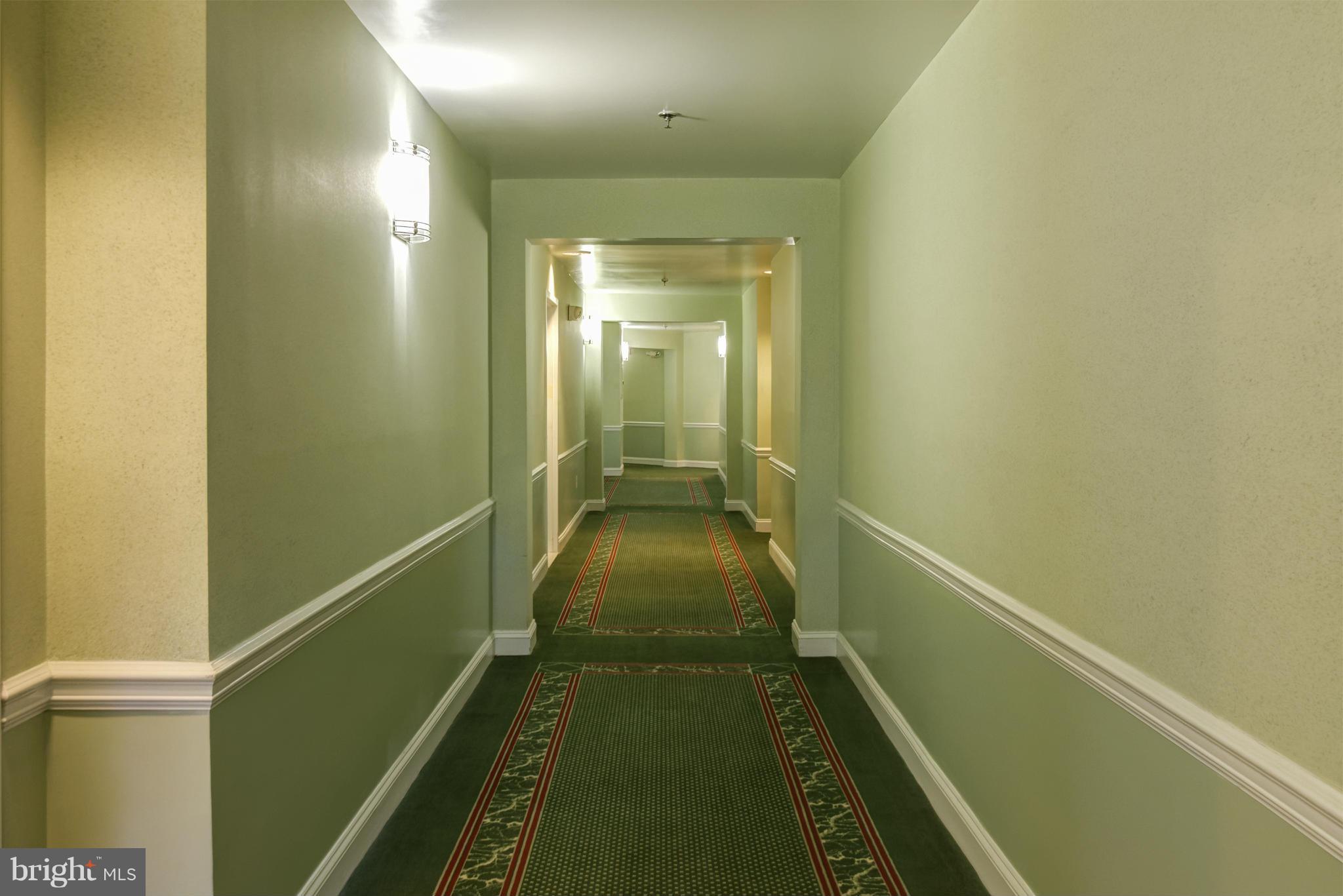 5575 Seminary Road, Unit 103 Falls Church, VA 22041 - Photo 2 of 22 Interior Hallway