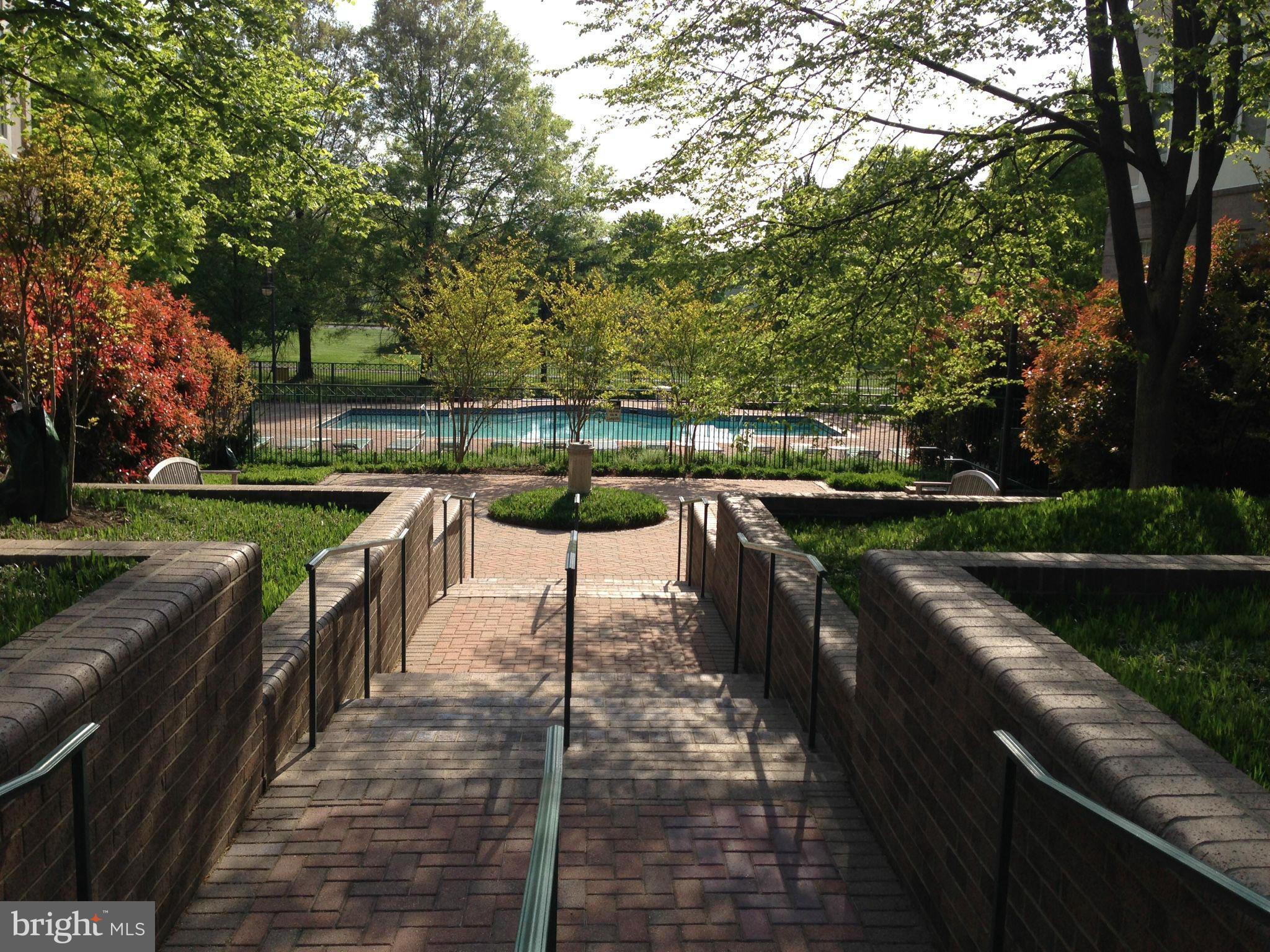 5575 Seminary Road, Unit 103 Falls Church, VA 22041 - Photo 19 of 22 Community Pool
