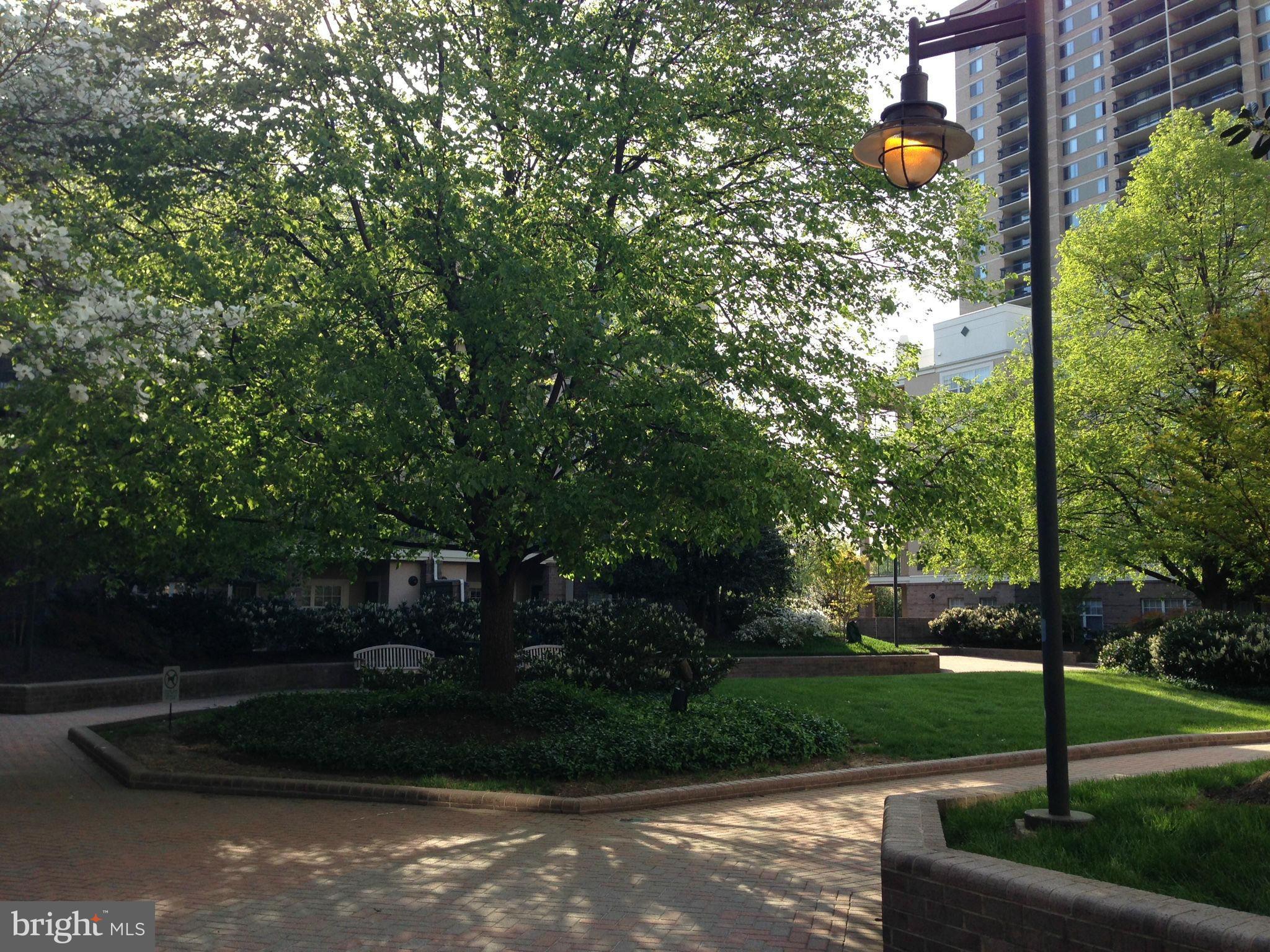 5575 Seminary Road, Unit 103 Falls Church, VA 22041 - Photo 20 of 22 Courtyard