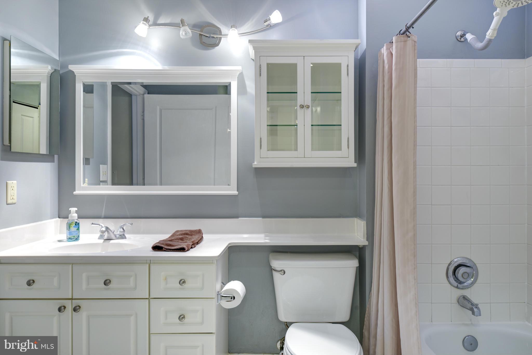 5575 Seminary Road, Unit 103 Falls Church, VA 22041 - Photo 10 of 22 Bath (Master)