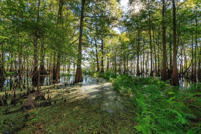 $794,900 | 583 Winona Drive, Geneva, FL 32732