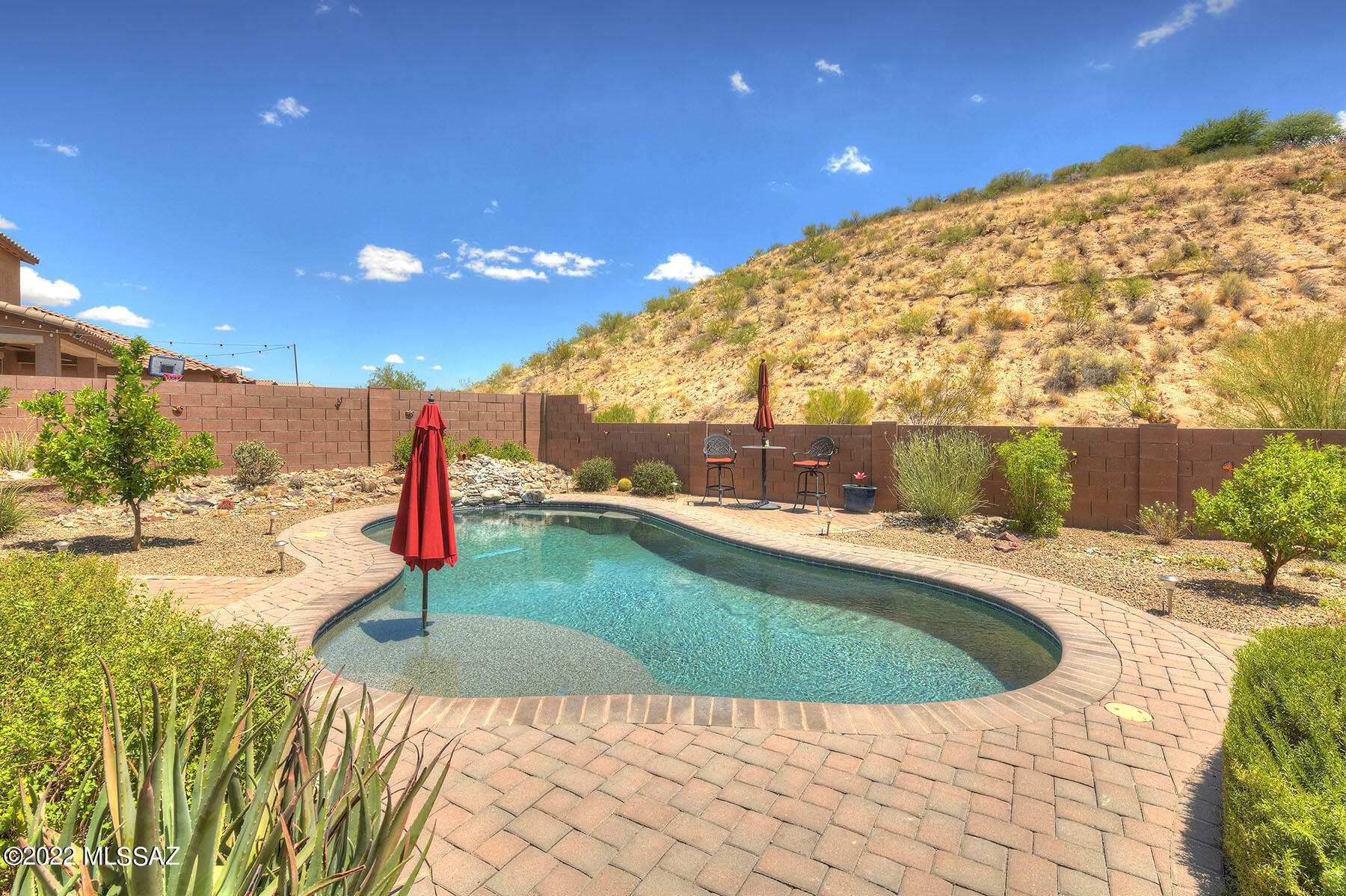 38855 South Running Roses Lane Saddlebrooke, AZ 85739 - Photo 24 of 29