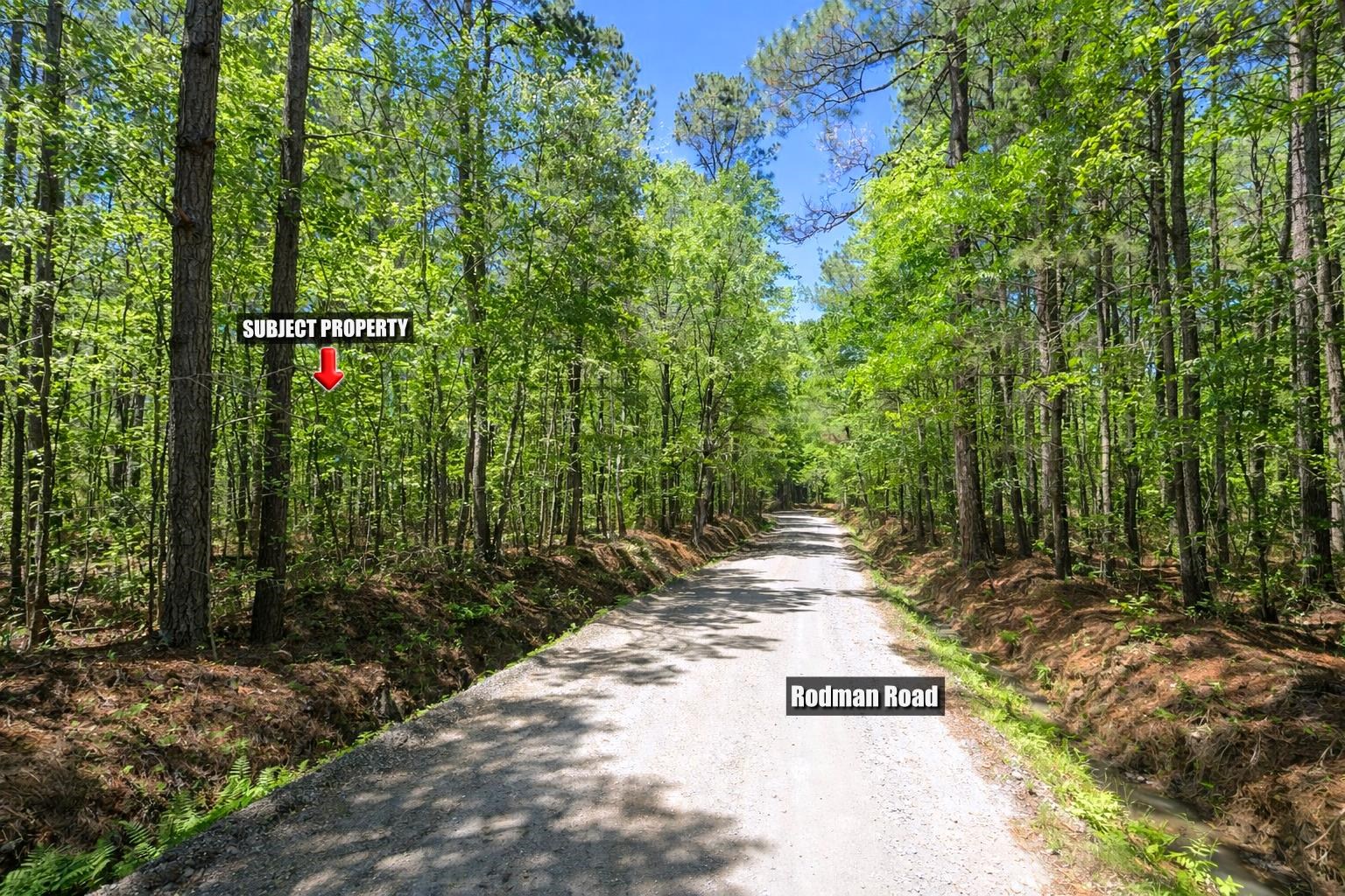 Tbd Rodman Road Lake City, SC 29560 - Photo 4 of 11 Gallery Image 4