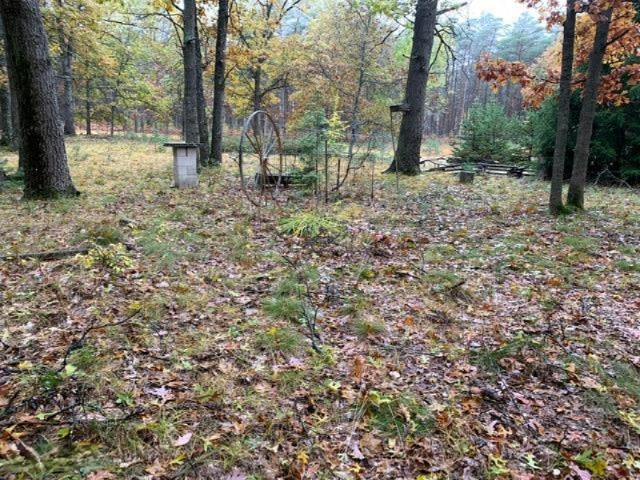 18850 Robinson Road Wellston, MI 49689 - Photo 23 of 36 IMG_0184