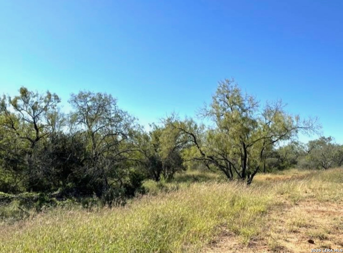 3968 Bluntzer Road Jourdanton, TX 78026 - Photo 19 of 39