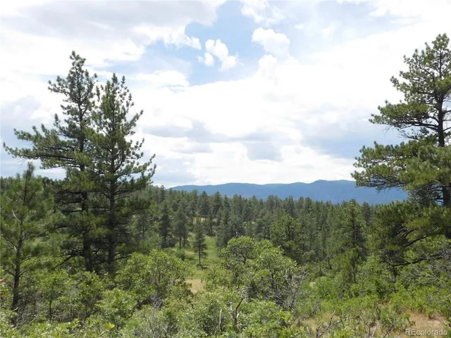 a view of a bunch of trees in mountains