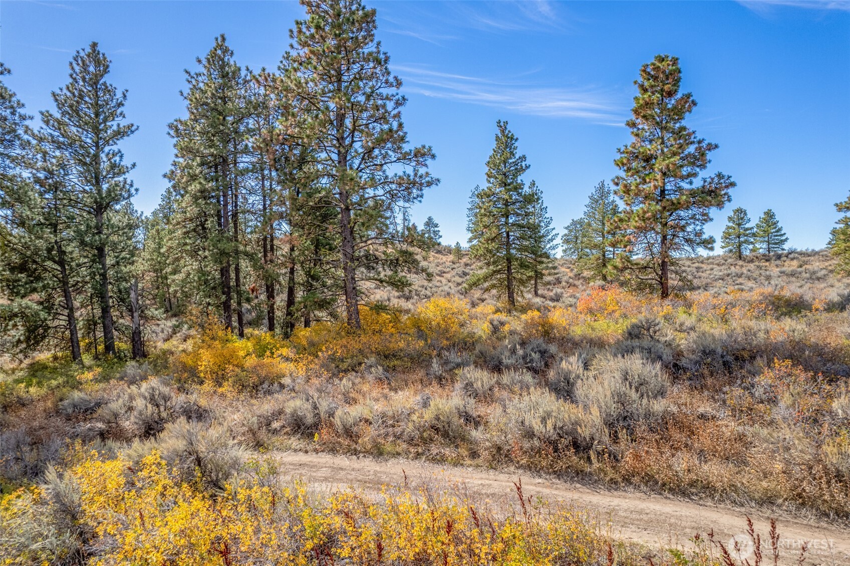 403 Wild Turkey Road East Wenatchee, WA 98802 - Photo 1 of 15 Gallery Image 1