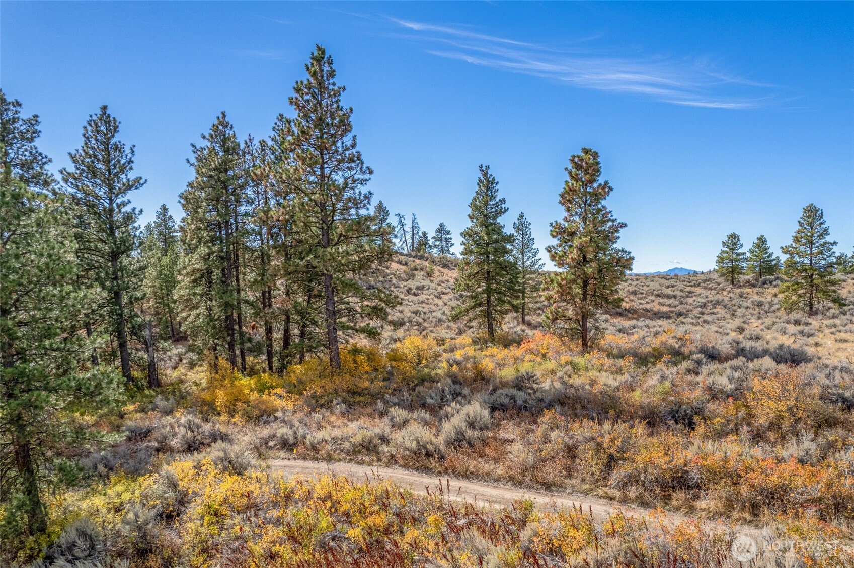 403 Wild Turkey Road East Wenatchee, WA 98802 - Photo 11 of 15 Gallery Image 11