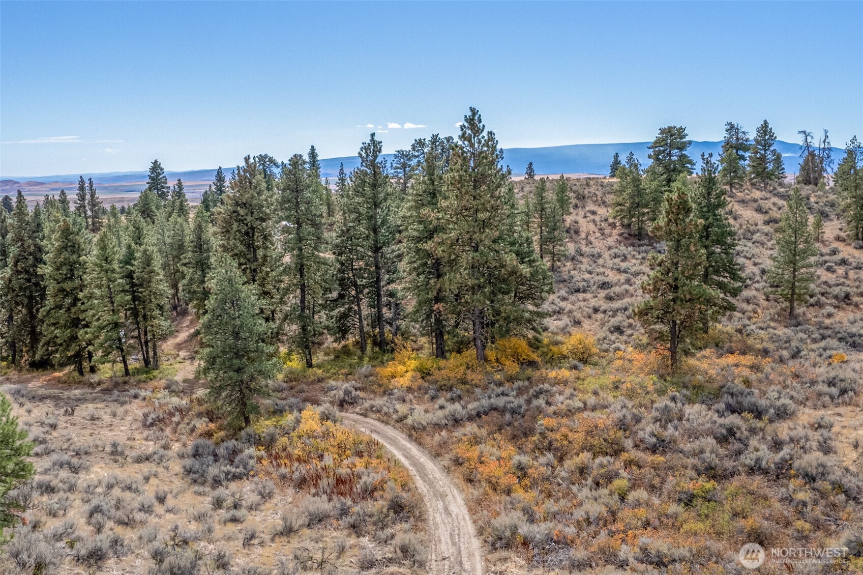 403 Wild Turkey Road East Wenatchee, WA 98802 - Photo 3 of 15 Gallery Image 3