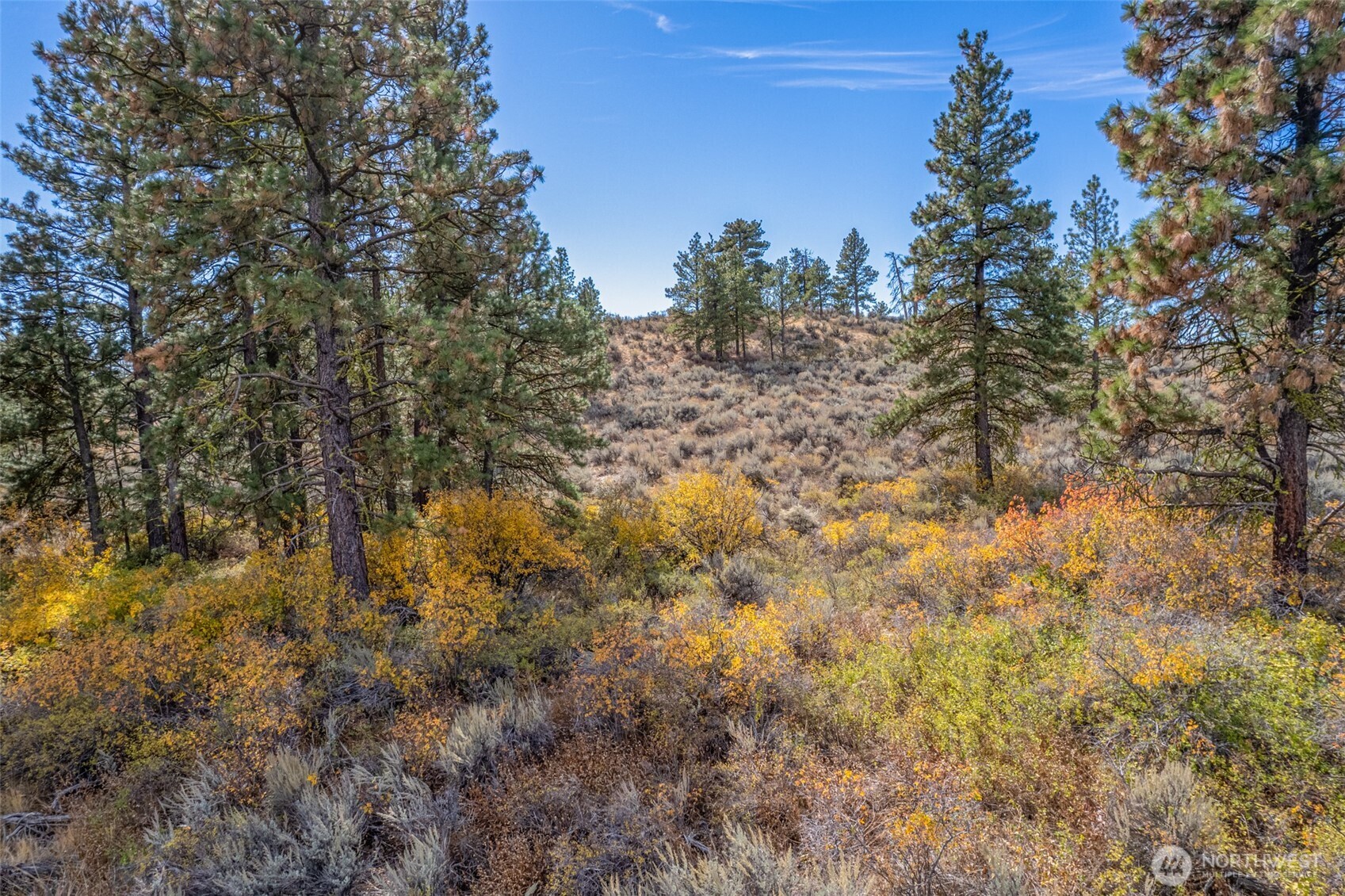 403 Wild Turkey Road East Wenatchee, WA 98802 - Photo 7 of 15 Gallery Image 7